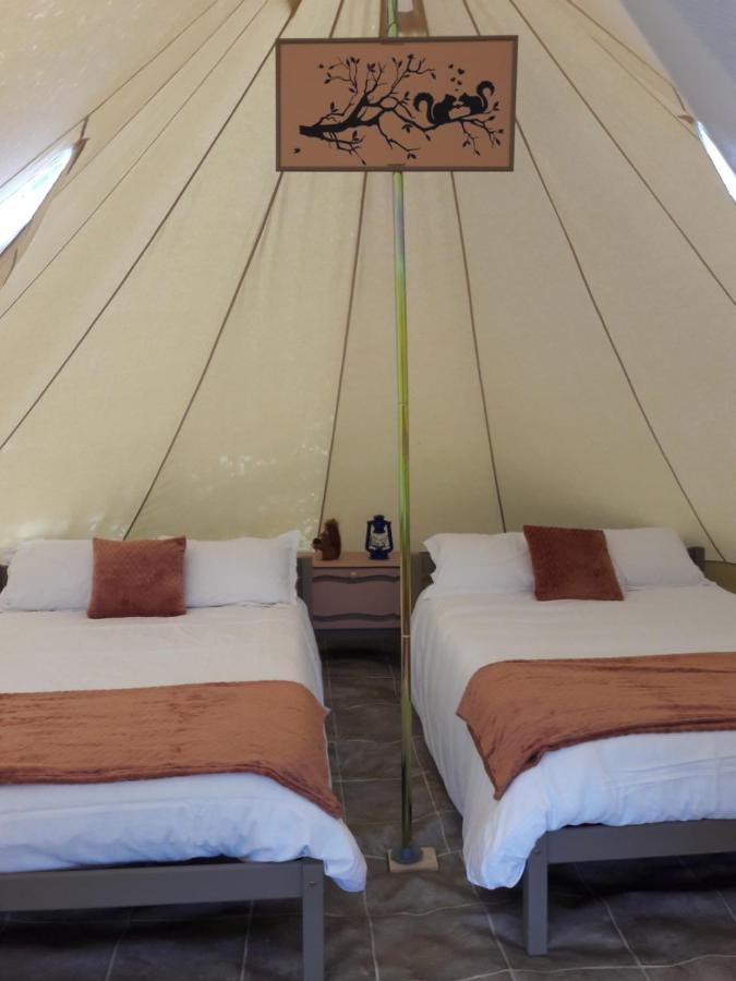 Bed and breakfast Domaine De La Sauzaie *